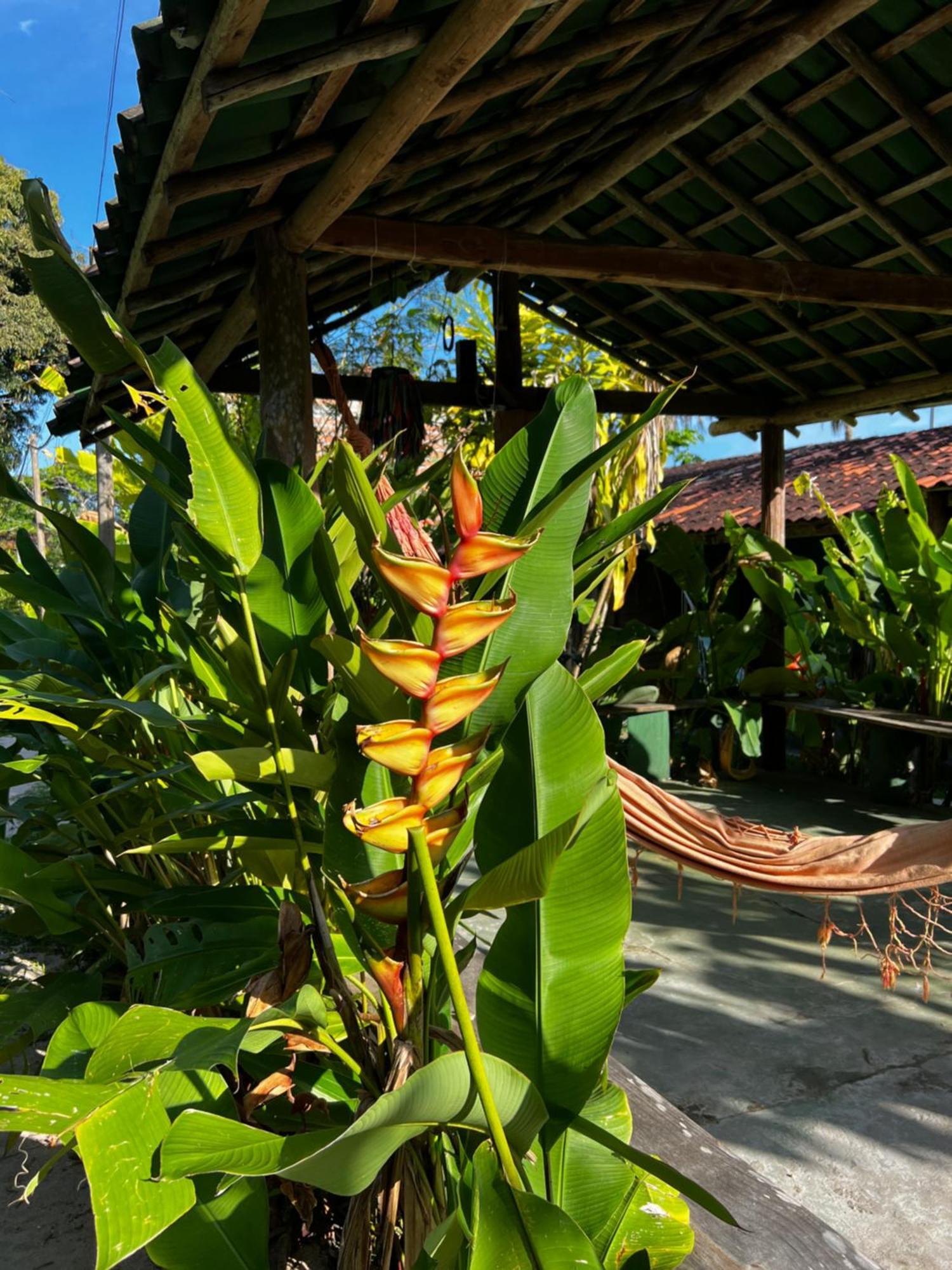 Pensión Moreré Barra (Marau)